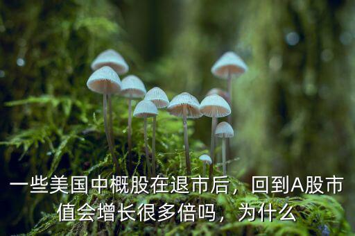 一些美國中概股在退市后，回到A股市值會增長很多倍嗎，為什么
