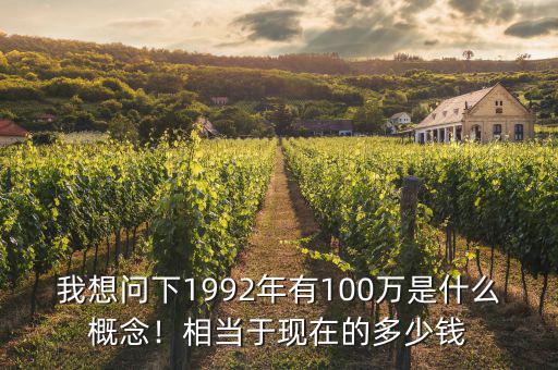 我想問下1992年有100萬是什么概念！相當于現(xiàn)在的多少錢
