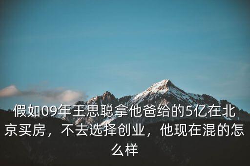假如09年王思聰拿他爸給的5億在北京買房，不去選擇創(chuàng)業(yè)，他現(xiàn)在混的怎么樣