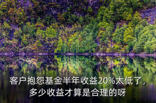 客戶抱怨基金半年收益20%太低了，多少收益才算是合理的呀