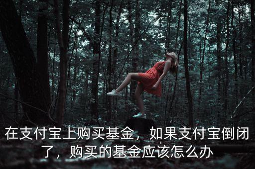 在支付寶上購買基金，如果支付寶倒閉了，購買的基金應(yīng)該怎么辦