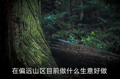 偏遠(yuǎn)城市做什么項目,可用5年。做什么項目好呢