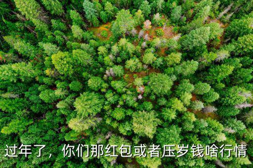 過年了，你們那紅包或者壓歲錢啥行情