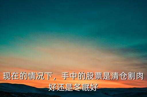現(xiàn)在的情況下，手中的股票是清倉(cāng)割肉好還是冬眠好