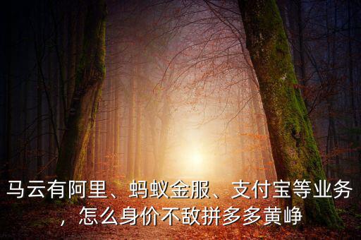 馬云有阿里、螞蟻金服、支付寶等業(yè)務(wù)，怎么身價(jià)不敵拼多多黃崢