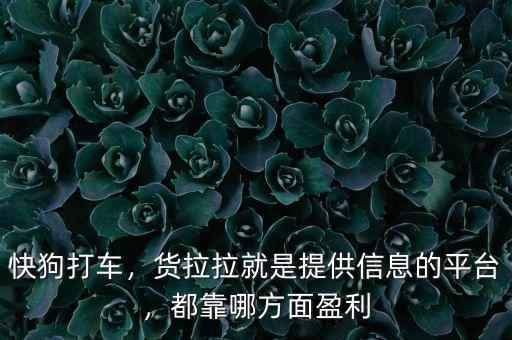 快狗打車，貨拉拉就是提供信息的平臺(tái)，都靠哪方面盈利