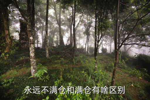 永遠(yuǎn)不滿(mǎn)倉(cāng)和滿(mǎn)倉(cāng)有啥區(qū)別