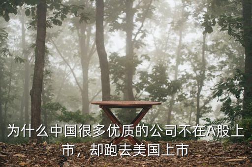 為什么中國很多優(yōu)質(zhì)的公司不在A股上市，卻跑去美國上市