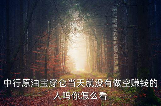 中行原油寶穿倉(cāng)當(dāng)天就沒(méi)有做空賺錢的人嗎你怎么看