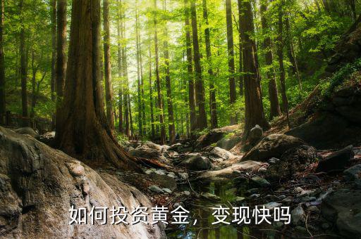 如何投資黃金，變現(xiàn)快嗎