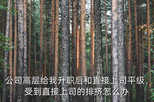 公司高層給我升職后和直接上司平級，受到直接上司的排擠怎么辦