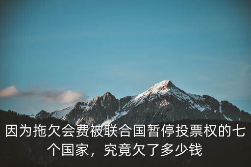 因?yàn)橥锨窌?huì)費(fèi)被聯(lián)合國暫停投票權(quán)的七個(gè)國家，究竟欠了多少錢
