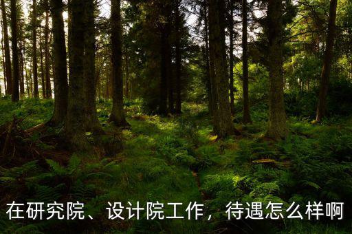 在研究院、設(shè)計院工作，待遇怎么樣啊