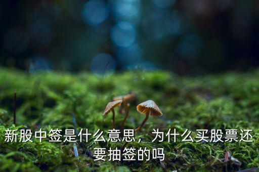 新股中簽是什么意思，為什么買股票還要抽簽的嗎