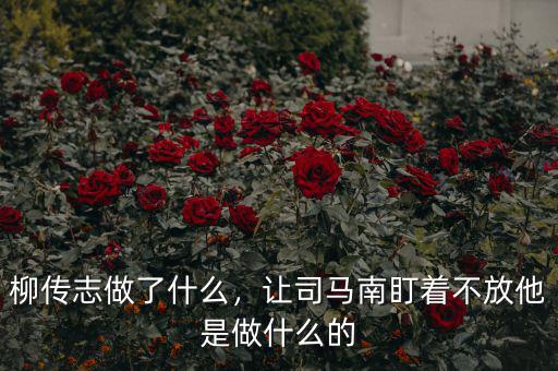 柳傳志做了什么，讓司馬南盯著不放他是做什么的