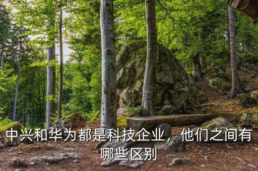 中興和華為都是科技企業(yè)，他們之間有哪些區(qū)別