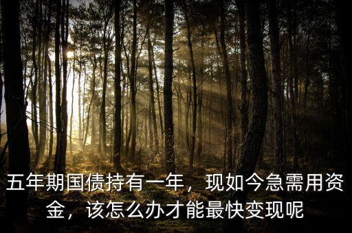 五年期國(guó)債持有一年，現(xiàn)如今急需用資金，該怎么辦才能最快變現(xiàn)呢