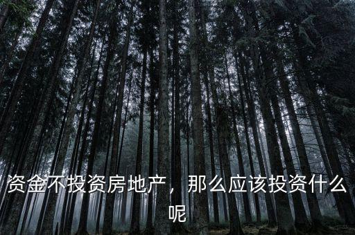 資金不投資房地產(chǎn)，那么應(yīng)該投資什么呢