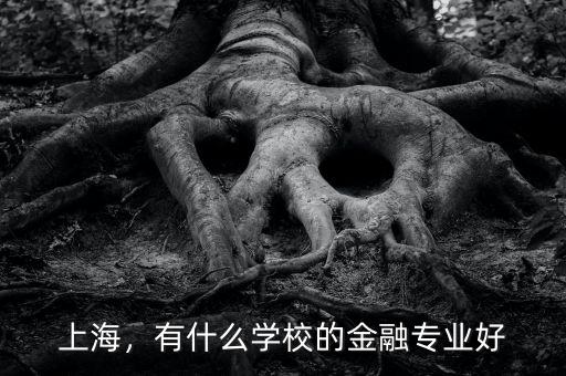 上海，有什么學(xué)校的金融專(zhuān)業(yè)好