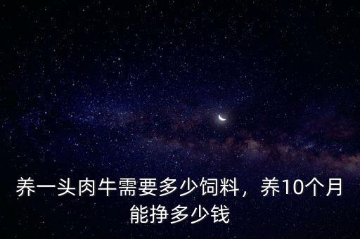 養(yǎng)一頭肉牛需要多少飼料，養(yǎng)10個(gè)月能掙多少錢