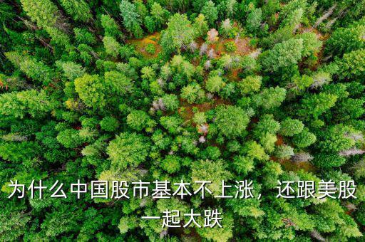 為什么中國(guó)股市基本不上漲，還跟美股一起大跌