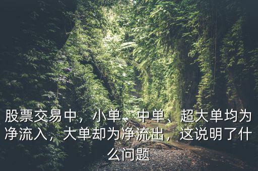 股票交易中，小單、中單、超大單均為凈流入，大單卻為凈流出，這說明了什么問題