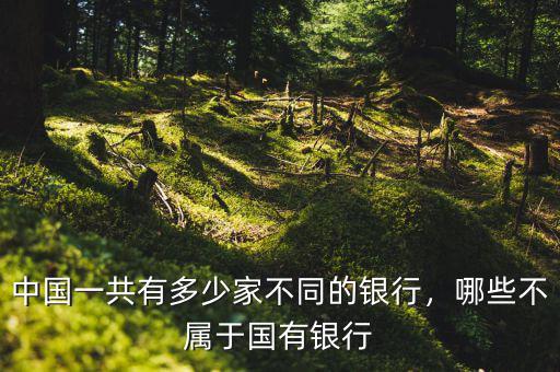 中國一共有多少家不同的銀行，哪些不屬于國有銀行