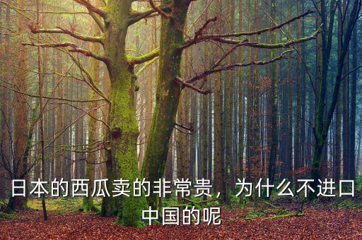 日本的西瓜賣的非常貴，為什么不進口中國的呢