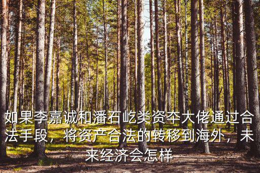 如果李嘉誠和潘石屹類資夲大佬通過合法手段，將資產(chǎn)合法的轉(zhuǎn)移到海外，未來經(jīng)濟(jì)會怎樣