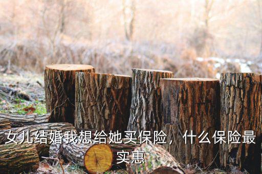 女兒結(jié)婚我想給她買(mǎi)保險(xiǎn)，什么保險(xiǎn)最實(shí)惠