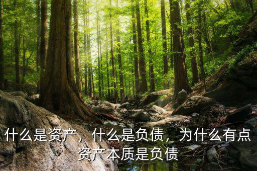 什么是資產(chǎn)，什么是負(fù)債，為什么有點(diǎn)資產(chǎn)本質(zhì)是負(fù)債