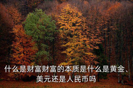 什么是財(cái)富財(cái)富的本質(zhì)是什么是黃金、美元還是人民幣嗎