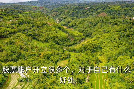 股票賬戶開(kāi)立很多個(gè)，對(duì)于自己有什么好處