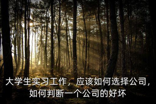 大學生實習工作，應該如何選擇公司，如何判斷一個公司的好壞