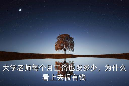 大學(xué)老師每個(gè)月工資也沒(méi)多少，為什么看上去很有錢