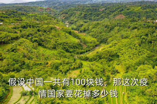 假設(shè)中國一共有100塊錢，那這次疫情國家要花掉多少錢