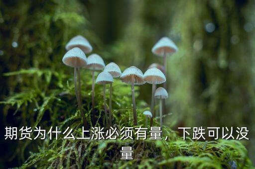 期貨為什么上漲必須有量，下跌可以沒(méi)量