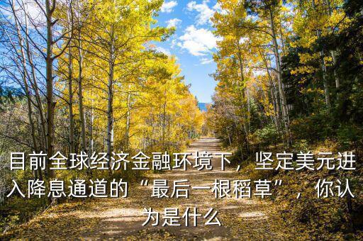 目前全球經(jīng)濟金融環(huán)境下，堅定美元進入降息通道的“最后一根稻草”，你認為是什么