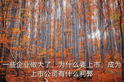 一些企業(yè)做大了，為什么要上市，成為上市公司有什么利弊