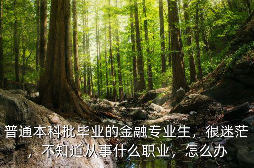 普通本科批畢業(yè)的金融專業(yè)生，很迷茫，不知道從事什么職業(yè)，怎么辦