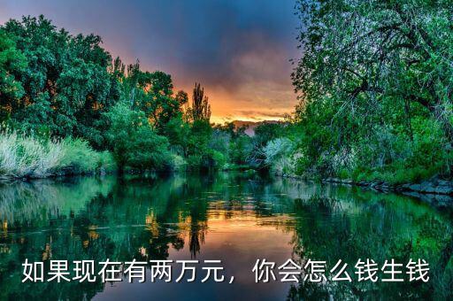 如果現(xiàn)在有兩萬元，你會(huì)怎么錢生錢