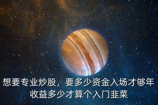 想要專業(yè)炒股，要多少資金入場(chǎng)才夠年收益多少才算個(gè)入門韭菜