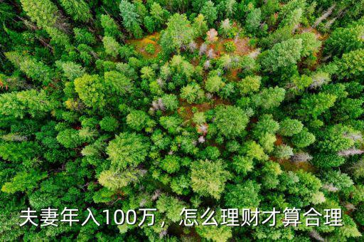 夫妻年入100萬，怎么理財才算合理