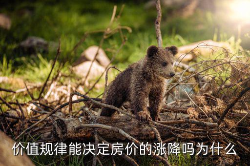 價(jià)值規(guī)律能決定房價(jià)的漲降嗎為什么
