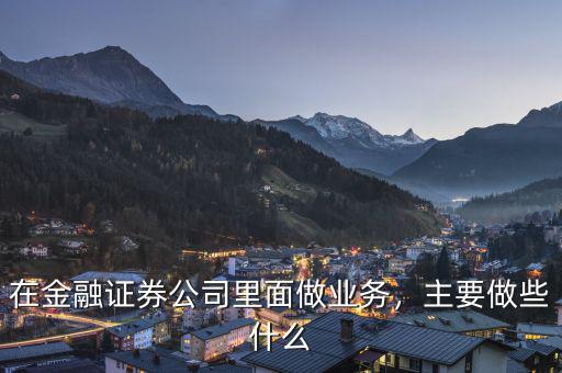 在金融證券公司里面做業(yè)務(wù)，主要做些什么