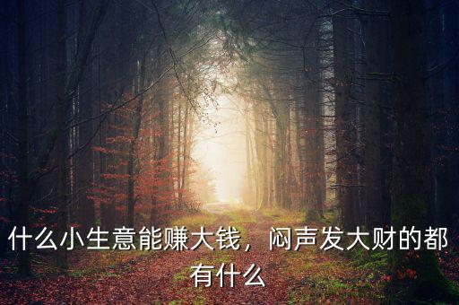 什么小生意能賺大錢，悶聲發(fā)大財(cái)?shù)亩加惺裁? class=