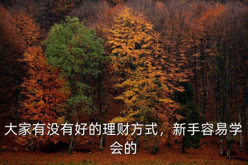 大家有沒有好的理財方式，新手容易學會的