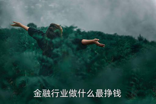 金融行業(yè)做什么最掙錢(qián)