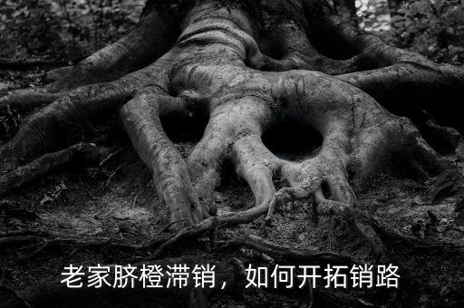 老家臍橙滯銷，如何開拓銷路