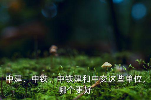 中建、中鐵、中鐵建和中交這些單位，哪個更好